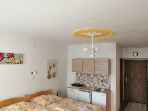 Hostal Apartm�ny V Centru U Moravc?