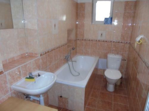 Ubytov�n� Apartm�n U Langru