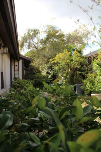 Disney, Luxury, Private Pool Home, Pgg Home