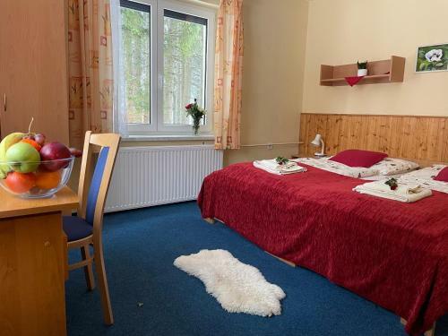 Hostal Hotel A Penzion Pegas