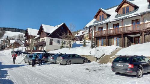 Prvn� Apartm�n V�tkovice