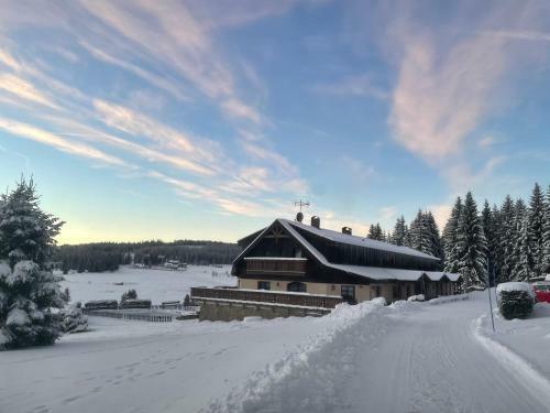 Hostal Pension Hones