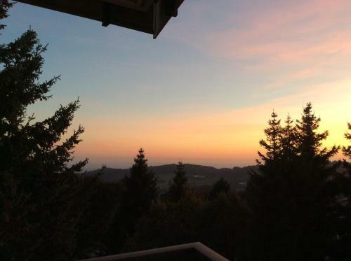 Wellness Apartment Sankt Englmar