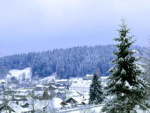 Apartamento Top Appartment Mit Weitblick Und Late Check-out