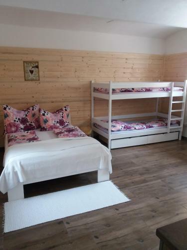Apartamento Penzion Pasty?�k