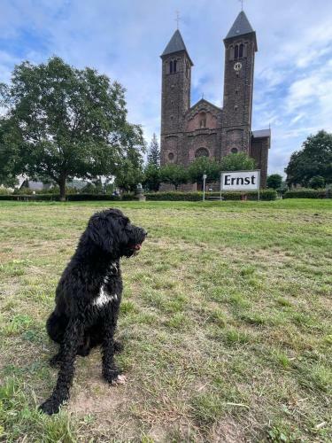 Hotel Altes Pfarrhaus