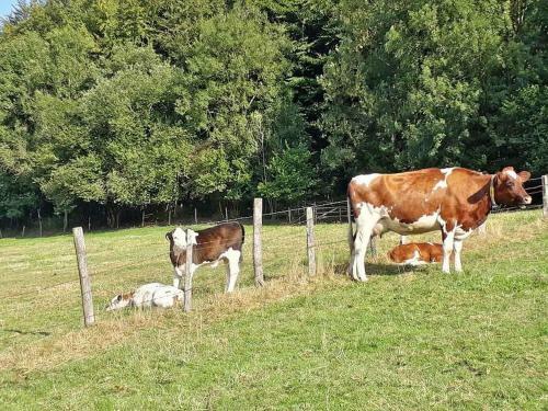 Apartamento Ferienwohnungen Baust Im M�hlental