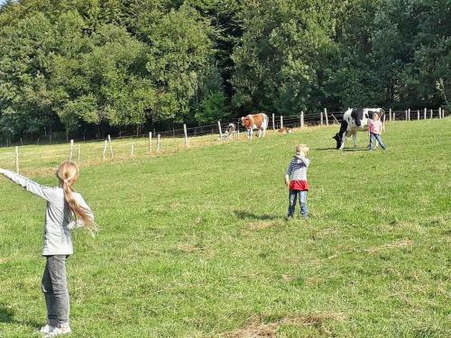 Apartamento Ferienwohnungen Baust Im M�hlental