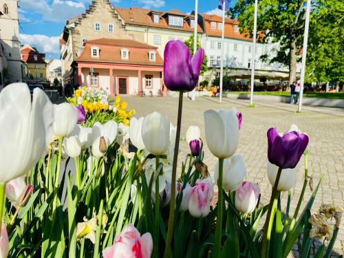 B�rliner Hotel