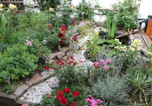 Apartamento Ferienwohnung Zum Rotem Karpfen