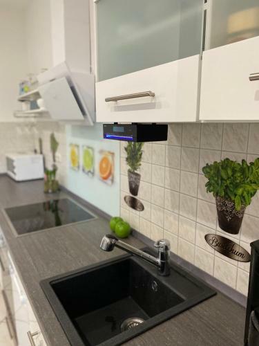 Apartamento Vita Deluxe