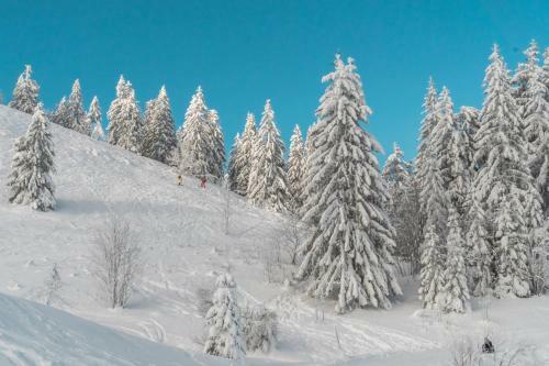 Bed & Breakfast Baldenweger H�tte