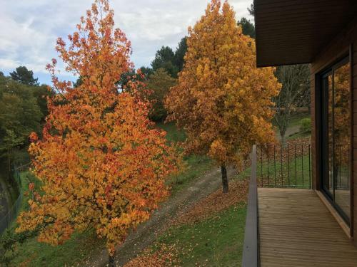 Agroturismo Quinta De Silharezes, Lda
