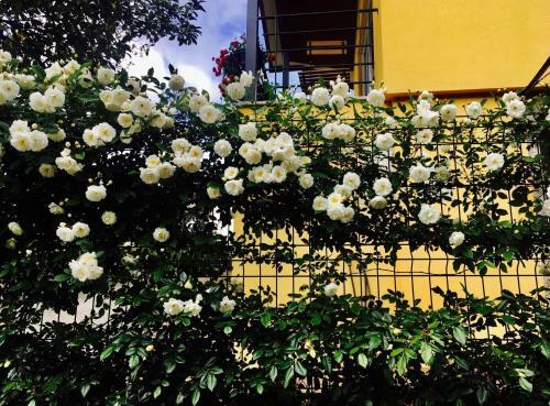 Recanto Tia S�o Magalh�es