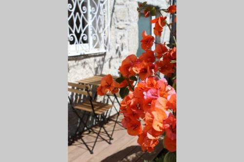 Recanto Tia S�o Magalh�es