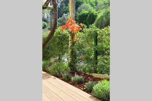 Recanto Tia S�o Magalh�es