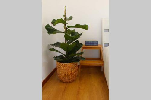 Recanto Tia S�o Magalh�es