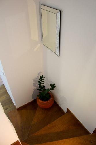 Recanto Tia S�o Magalh�es