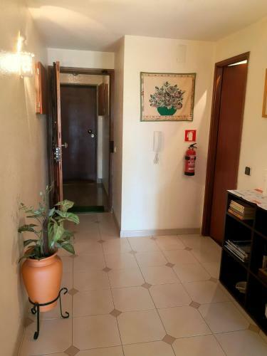 Apartamento Dreaming Of Algarve