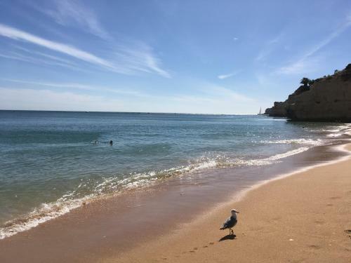 Apartamento Vila Paderne - Solar Dos Mouros