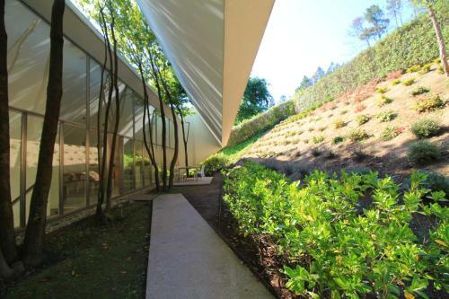 Slope Design Villa - Luxurious Architecture Villa