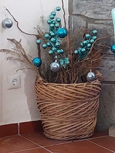 Villa Mariana
