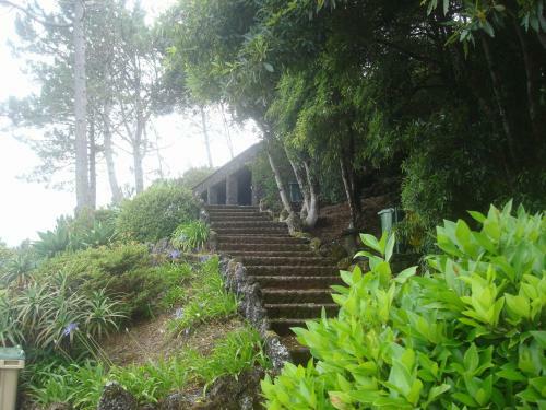 Hostal Vinea Lava Praia Campo Pico