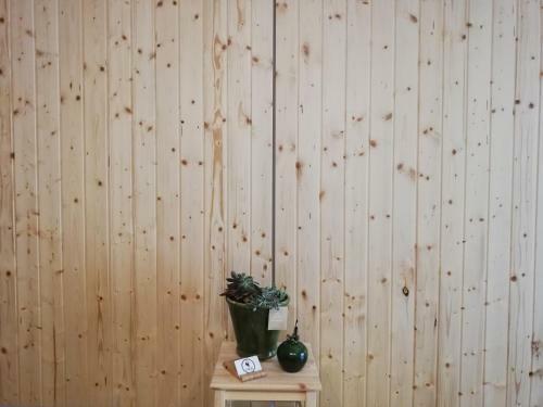 Hostal O Violas - Art Coffee & Guesthouse