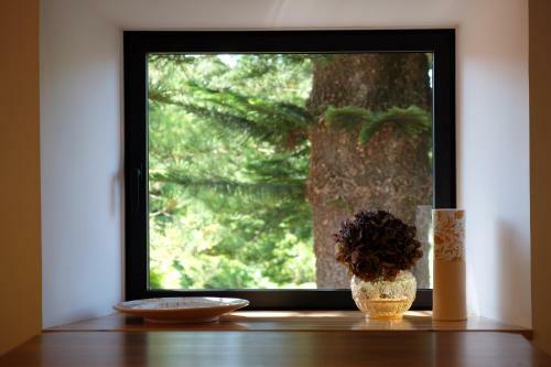 Agroturismo Pink House Azores