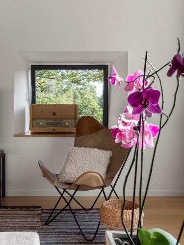 Agroturismo Pink House Azores