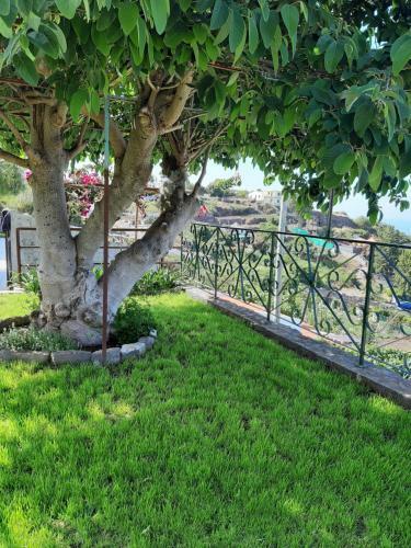 Hostal Casa Velha D Fernando E Casa Av� Augusta