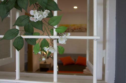 Hostal Tabua Village