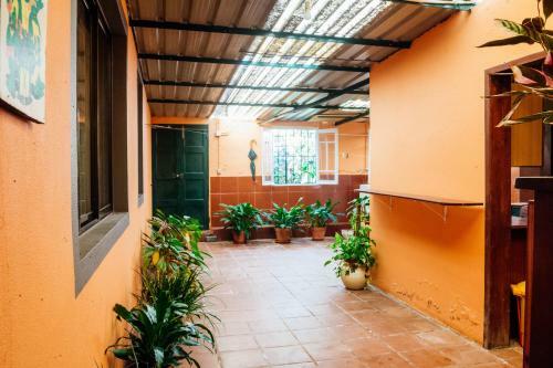 Lovely 3-bed Cottage In Ribeira Brava