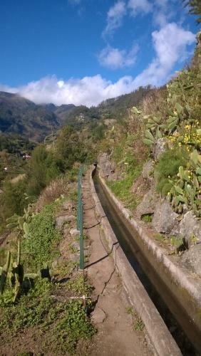 Apartamento Ribeira Brava Studio Sea View