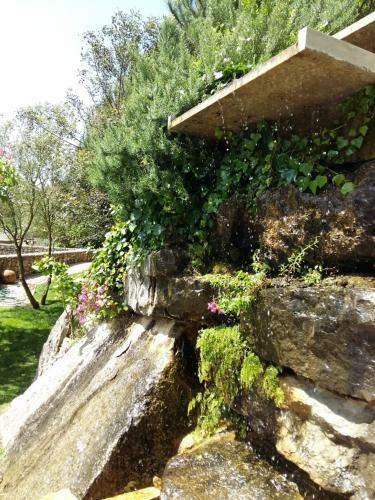 Villa Vale D Azenha - Country House