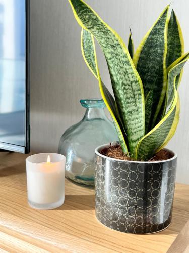 Apartamento Terra�os Quarteira 2d3