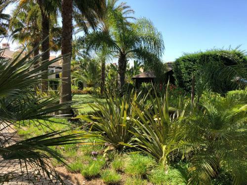 Stylish Apartment Palmyra