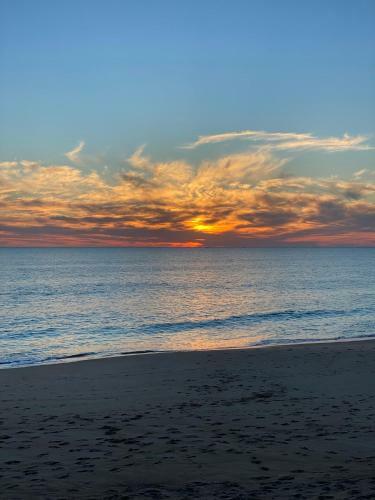 Stylish Apartment Palmyra