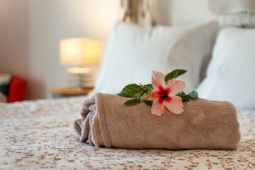 Hostal Romantik Villa