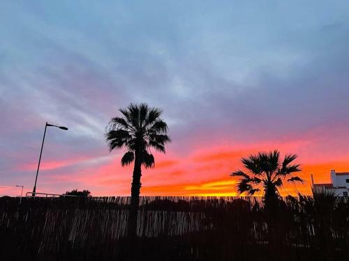 Feelgood Sagres Vegan Homestay