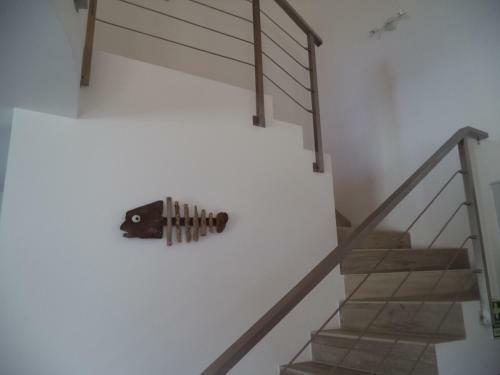 Casa Do Tonel
