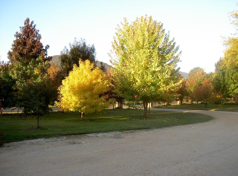 Motel Bright On Track