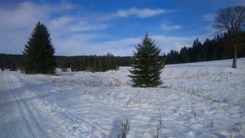 Pr�zdninov� D?m Matterhorn