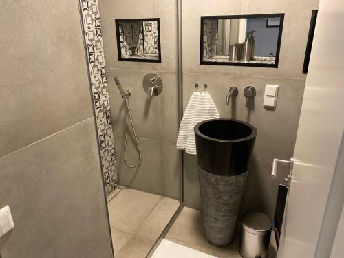 Apartamento Schwarzwald Wohnung Kniebis