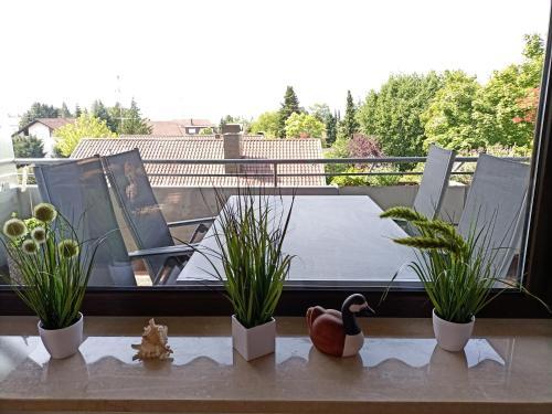 Bodensee Apartment Friedrichshafen Montafonstrasse N 2