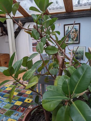 Apartamento Ferienhaus Eichhof, Garlstorf - L�neburger Heide