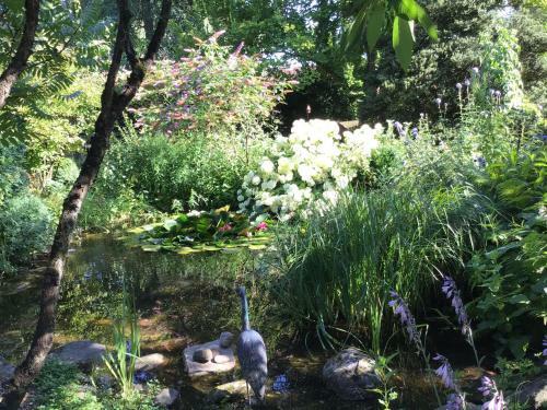 Apartamento Fewo Spitzweg, Garlstorf - L�neburger Heide