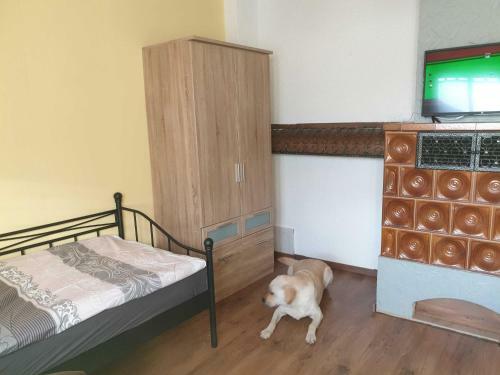 Agroturismo Ferienwohnung Tinkerhof N�he Bingen