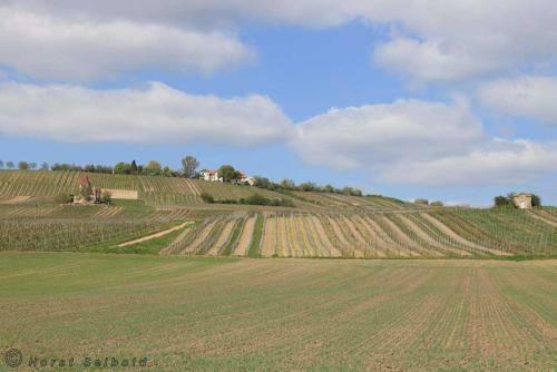 Agroturismo Ferienwohnung Tinkerhof N�he Bingen