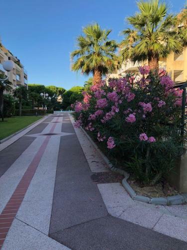 Apartamento French Riviera Luxury